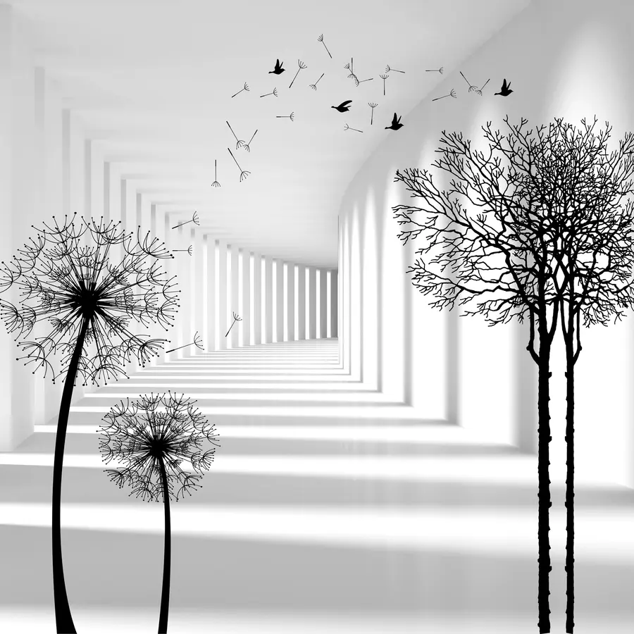 Fototapete Tiefe und Licht u37803d1