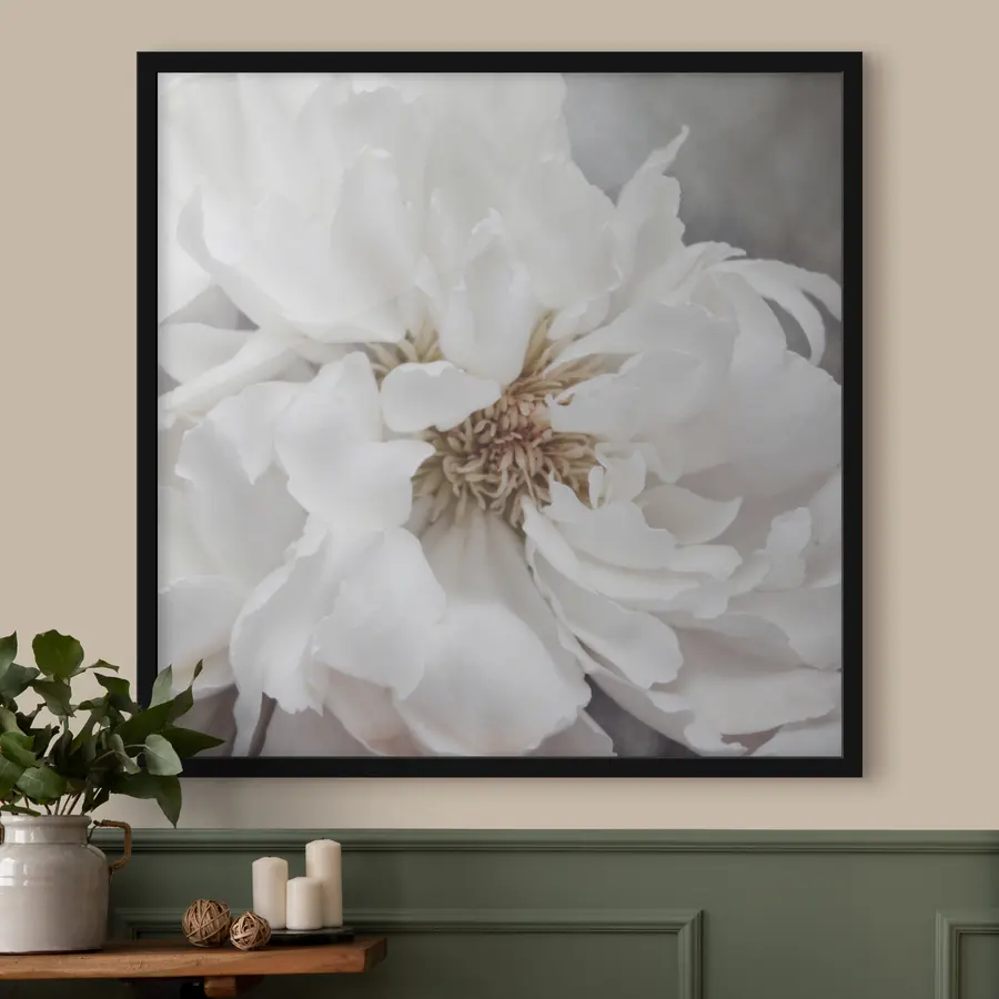 Fototapete Zarte Schönheit in sanften Farbtönen f37161